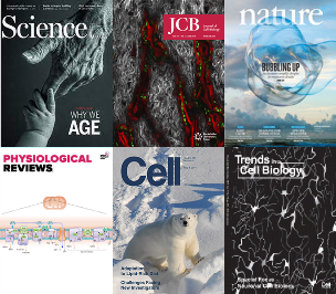 Collage of pictures of covers of scientific journals